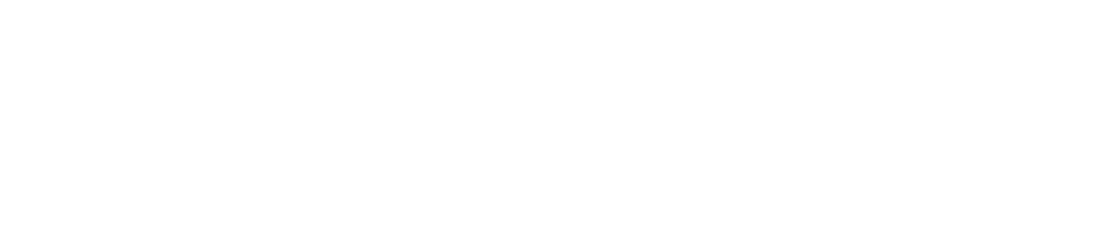 Neros Logo